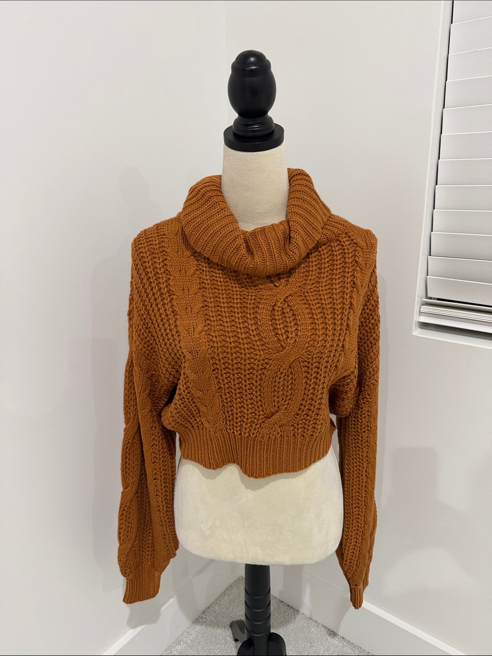 Hera Collection Cable Knit Cropped Turtleneck Sweater - Rust Brown
